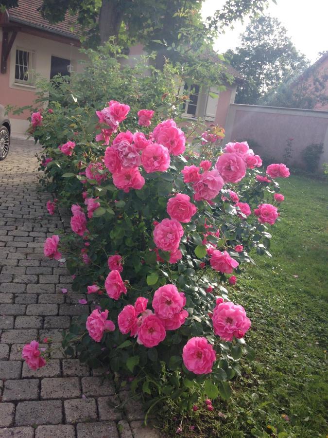 Rose Garden Mezzanine Bed and Breakfast Giverny Eksteriør billede